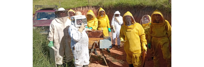 Curso de Apicultor Iniciante